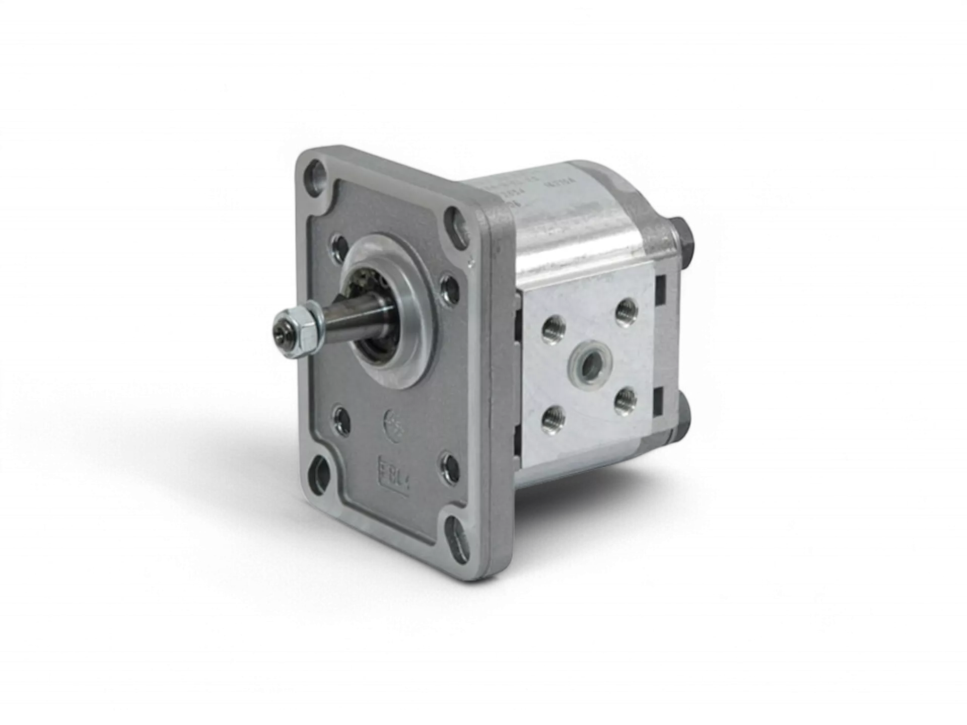 Alüminyum Gövde Dişli Pompalar casappa