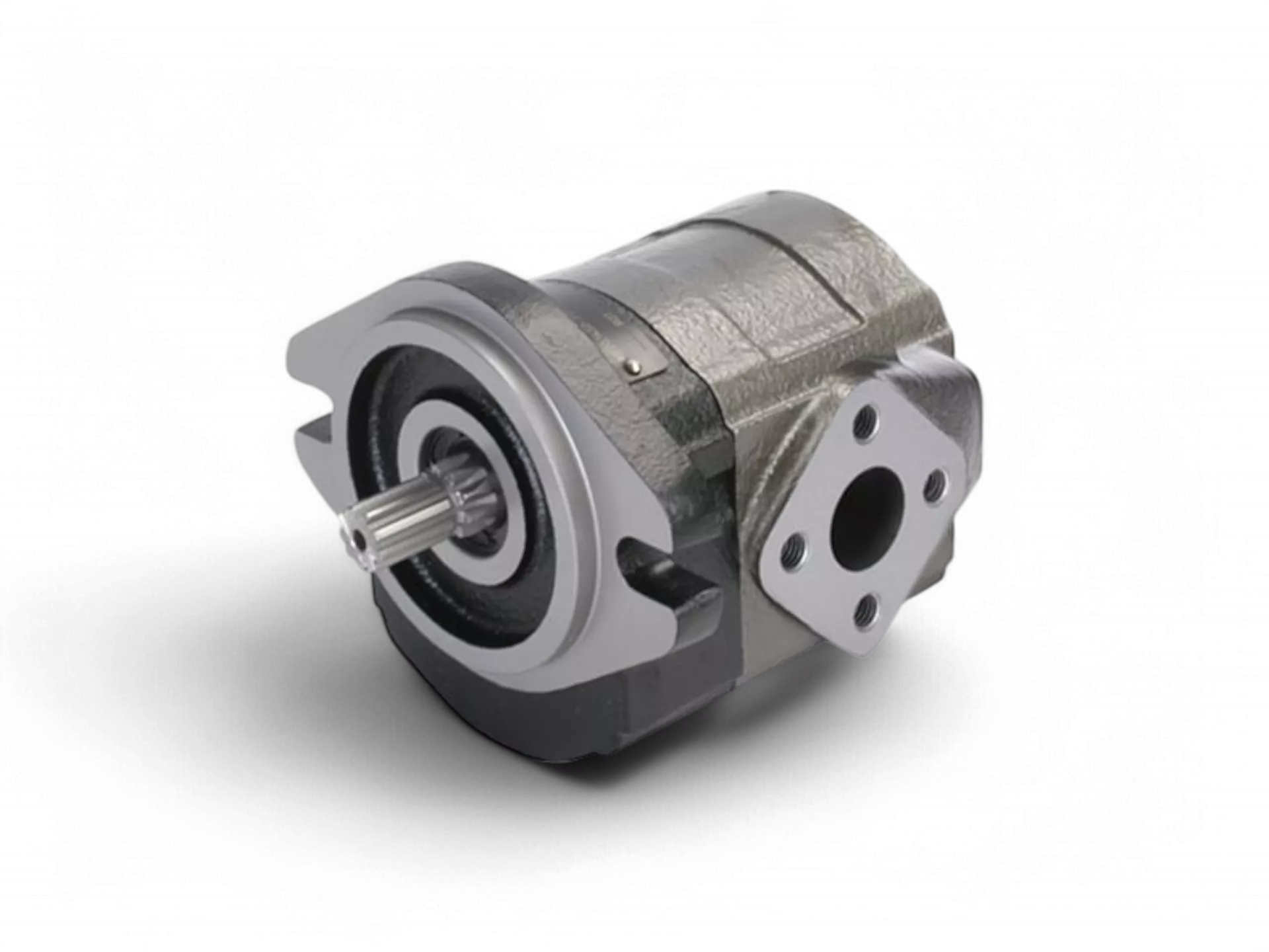 Döküm Gövde Dişli Pompalar Casappa