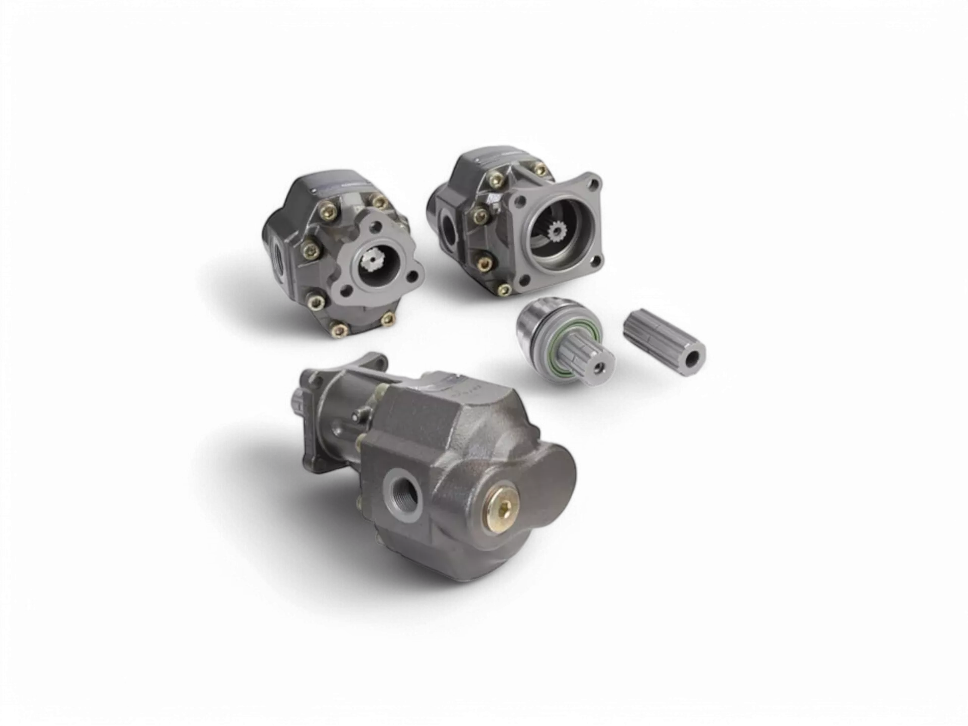 Döküm Gövde Dişli Pompalar Casappa