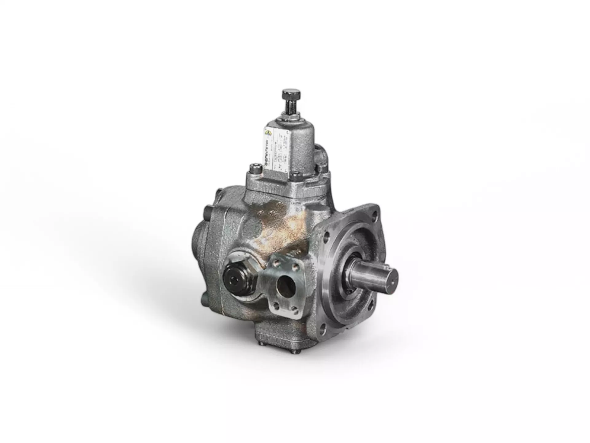 Değişken Deplasmanlı Paletli Pompalar BERARMA