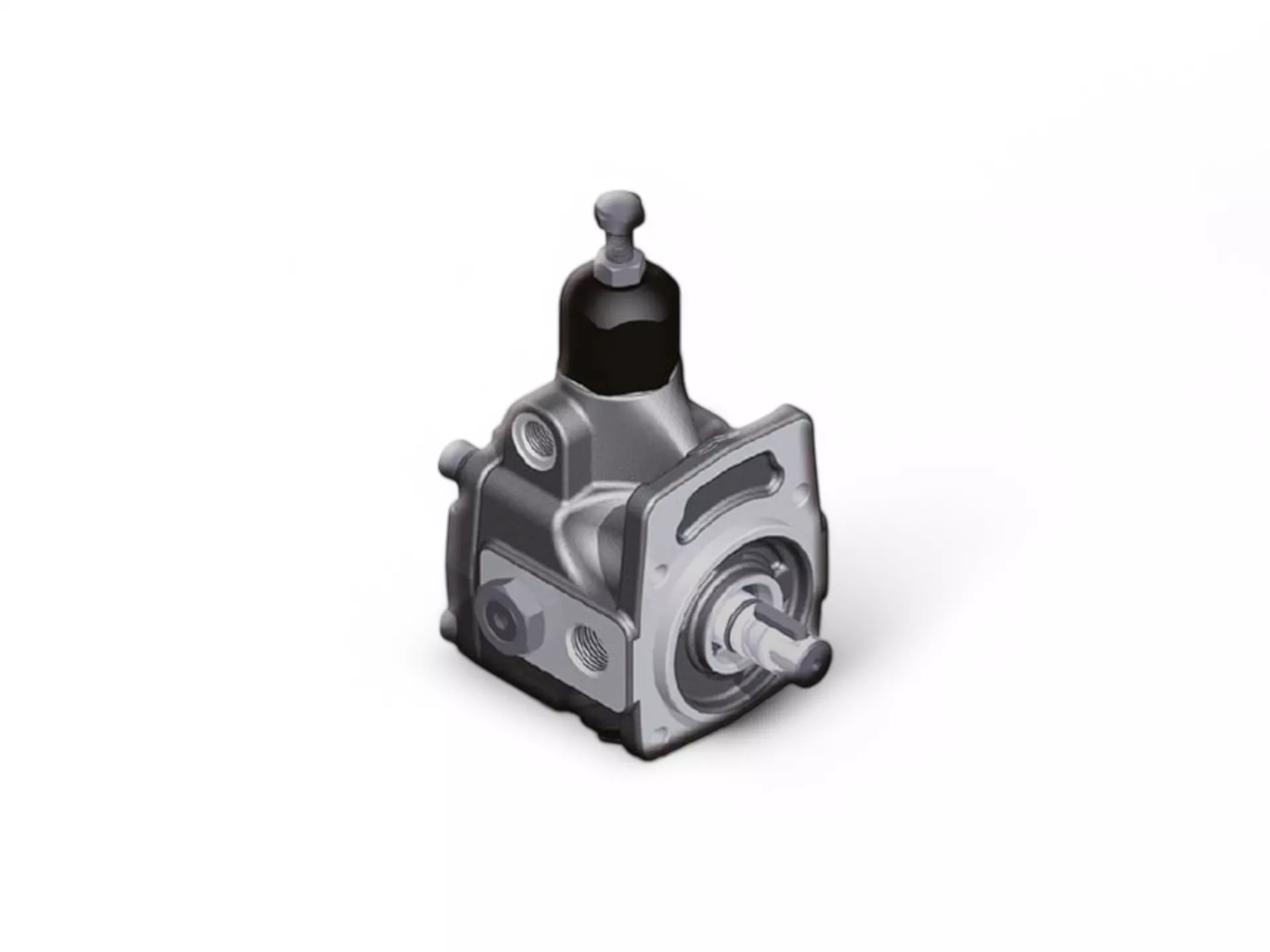 Değişken Deplasmanlı Paletli Pompalar BERARMA