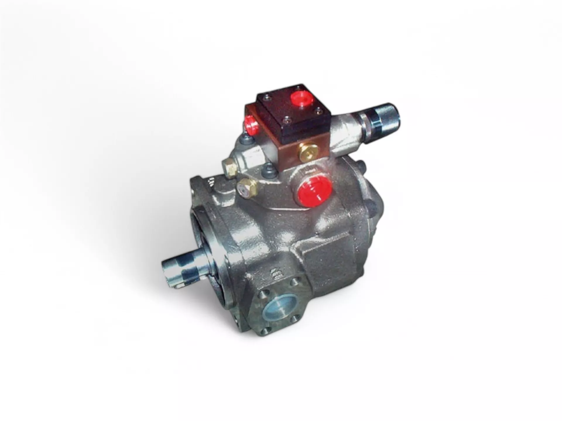 Değişken Deplasmanlı Paletli Pompalar BERARMA