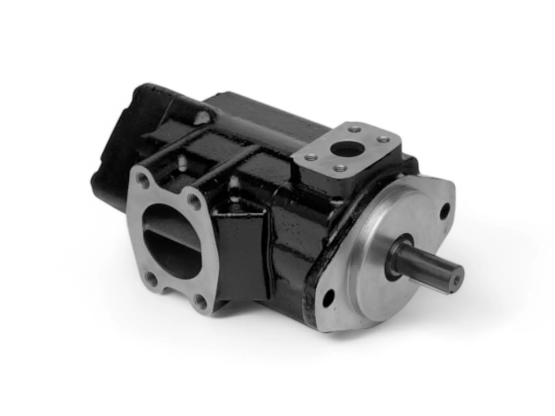 Sabit Deplasmanlı Paletli Pompalar  PARKER