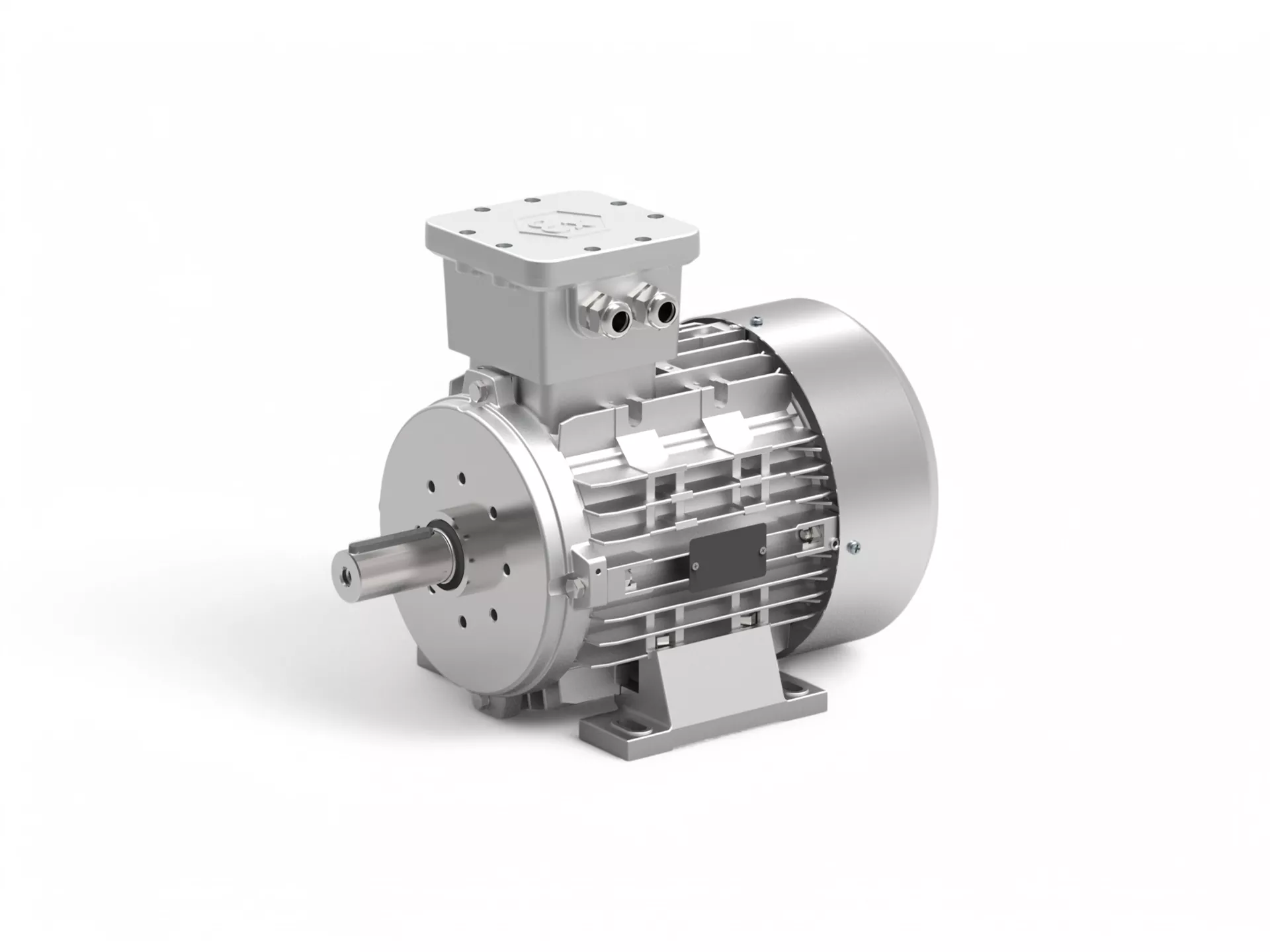 Ex-Proof motorun yeni üyesi 132 Tip EX