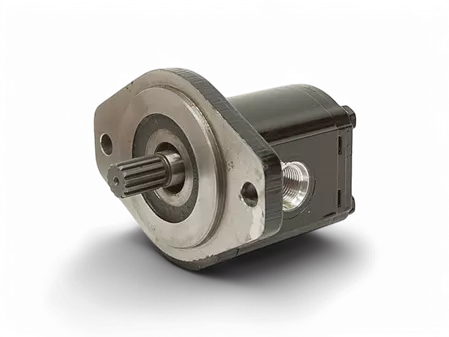 Alüminyum Gövde Dişli Pompalar casappa