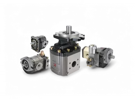 Döküm Gövde Dişli Pompalar Casappa