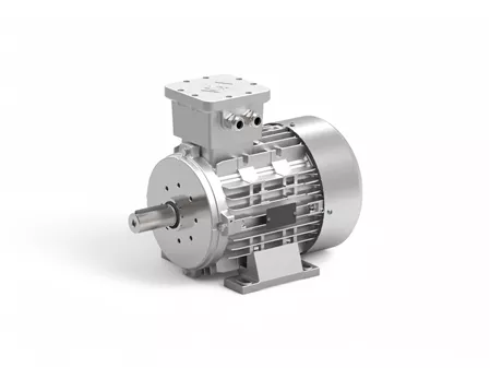 Ex-Proof motorun yeni üyesi 132 Tip EX